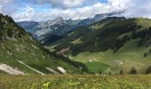 Tocht Stappen Châtel - Morclan - Don - Chalet Mouet - Petit Chatel  - Photo 8