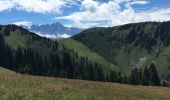 Randonnée Marche Châtel - Morclan - Don - Chalet Mouet - Petit Chatel  - Photo 6