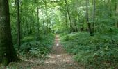 Trail Walking Gerberoy - gerberoy et songeons - Photo 18