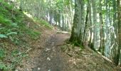 Trail Walking Mégevette - La Pointe des Jottis - Photo 4