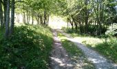 Trail Walking Mégevette - La Pointe des Jottis - Photo 3