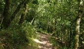 Trail Walking Quimper - vallée du stangala - Photo 1