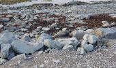 Tour Wandern Unknown - Kaikoura Otaries  - Photo 7