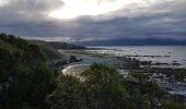 Trail Walking Unknown - Kaikoura Otaries  - Photo 4