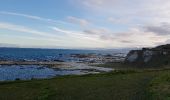 Tour Wandern Unknown - Kaikoura Otaries  - Photo 2