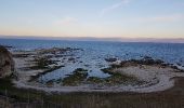 Trail Walking Unknown - Kaikoura Otaries  - Photo 1