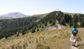 Trail Walking Risoul - Risoul- Homme de pierre  - Photo 8