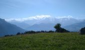 Tour Wandern Sallanches - Refuge de Mayères & Pierre Fendue - Photo 11