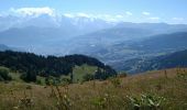 Tour Wandern Sallanches - Refuge de Mayères & Pierre Fendue - Photo 9