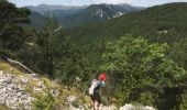 Trail Walking La Faurie - LA FAURIE-COL DE BAUMUGNE-30-07-2017 - Photo 11