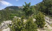 Percorso Marcia La Faurie - LA FAURIE-COL DE BAUMUGNE-30-07-2017 - Photo 10