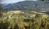 Excursión Senderismo La Faurie - LA FAURIE-COL DE BAUMUGNE-30-07-2017 - Photo 3