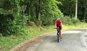 Tocht Mountainbike Esneux - 20170803 BiBeauf sur Ourthe - Photo 4