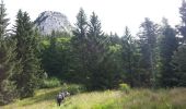 Tour Wandern Entremont-le-Vieux - Le Mont Outheran - Photo 1