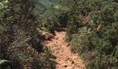 Trail Walking Ascain - La Rhune - Photo 2