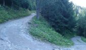 Trail Walking Les Contamines-Montjoie - Lac & Combe d'Armancette - Photo 15