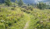 Trail Walking Les Contamines-Montjoie - Lac & Combe d'Armancette - Photo 8
