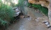 Excursión Senderismo Casbas de Huesca - 2017_Formiga-inférieur - Photo 3