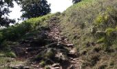 Trail Walking Bidarray - montée au pic d'arla - Photo 7