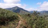 Trail Walking Bidarray - montée au pic d'arla - Photo 6