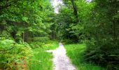 Trail Walking Longpont - en forêt de Retz_56_Longpont_tour du Général Mangin_AR - Photo 20