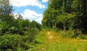 Trail Walking Longpont - en forêt de Retz_56_Longpont_tour du Général Mangin_AR - Photo 11