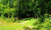 Trail Walking Longpont - en forêt de Retz_56_Longpont_tour du Général Mangin_AR - Photo 12