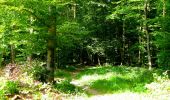 Trail Walking Longpont - en forêt de Retz_56_Longpont_tour du Général Mangin_AR - Photo 10