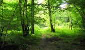 Trail Walking Longpont - en forêt de Retz_56_Longpont_tour du Général Mangin_AR - Photo 6