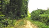 Randonnée Marche Longpont - en forêt de Retz_56_Longpont_tour du Général Mangin_AR - Photo 13