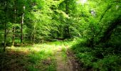 Trail Walking Longpont - en forêt de Retz_56_Longpont_tour du Général Mangin_AR - Photo 7