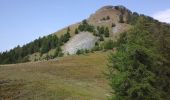 Tour Wandern Seyne - tour rt sommet duTourtourel  - Photo 1