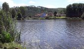 Excursión Senderismo Philippsbourg - 67 Etang de  Hanau - Photo 2