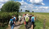 Percorso Marcia Hamoir - Comblain-la-Tour, beaux points de vue - Photo 14