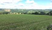 Randonnée Marche Hamoir - Comblain-la-Tour, beaux points de vue - Photo 11