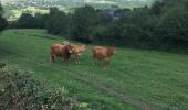 Tour Wandern Hamoir - Comblain-la-Tour, beaux points de vue - Photo 10