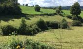 Tocht Stappen Hamoir - Comblain-la-Tour, beaux points de vue - Photo 4