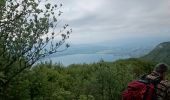 Tour Wandern La Chapelle-du-Mont-du-Chat - Mont de la Charvaz - Photo 4