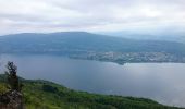 Tour Wandern La Chapelle-du-Mont-du-Chat - Mont de la Charvaz - Photo 5