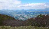 Tocht Stappen La Chapelle-du-Mont-du-Chat - Mont de la Charvaz - Photo 8