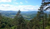 Excursión Senderismo La Chapelle-du-Mont-du-Chat - Mont de la Charvaz - Photo 11