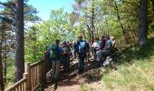 Tocht Stappen La Chapelle-du-Mont-du-Chat - Mont de la Charvaz - Photo 12