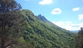 Tour Wandern La Chapelle-du-Mont-du-Chat - Mont de la Charvaz - Photo 2