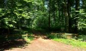 Trail Walking Saint-Jean-aux-Bois - en forêt de Compiègne_4_le vivier Corax_la Croix St-Sauveur - Photo 14