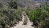 Trail Walking Puebla de la Sierra - espagne - Photo 8