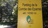Tour Wandern Saint-Pierre-d'Entremont - le grand som (chartreuse) - Photo 16