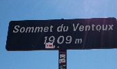 Tour Wandern Beaumont-du-Ventoux - caravaning mont serein le jas des pèlerin chapelle sainte crois  - Photo 1