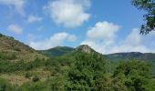 Trail Walking Brusque - Ceras vers Merdelou  - Photo 4