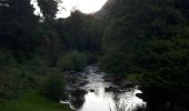 Tocht Stappen Mandailles-Saint-Julien - Puy Chavaroche - Photo 2