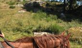 Trail Equestrian Prinsuéjols-Malbouzon - Aubrac 2017  - jour 6 (suite et fin) - Photo 8